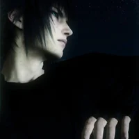 Noctis Lucis Caelum