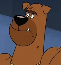 Brown dog