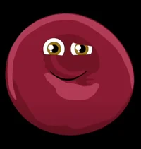 your anatomy teacher