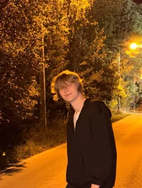 Дипинс