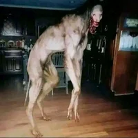 Creepy dog thing