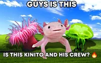 KinitoPET Crew