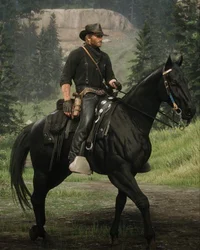 Arthur Morgan