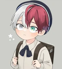 Todoroki Shoto 