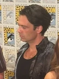 Sebastian stan 