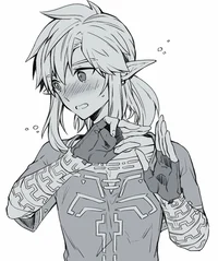 Link 