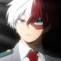 Shoto Todoroki