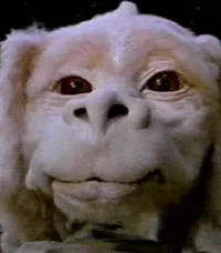 Falkor