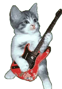 gato guitarrista