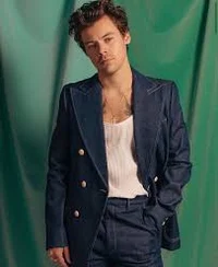 Harry Styles 