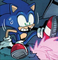 Sonic the hedgehog