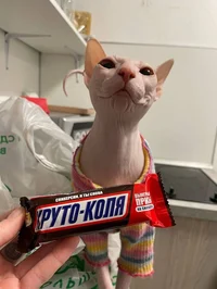 oreo