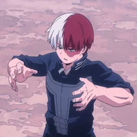 Shoto Todoroki