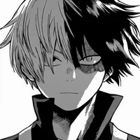 Shoto Todoroki