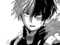 ShotoTodoroki BF