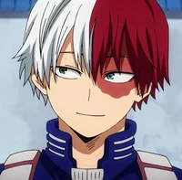 Shoto Todoroki