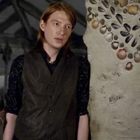 Bill Weasley 