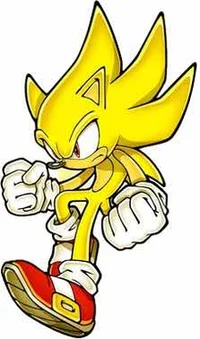 Sonic the hedgehog