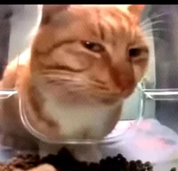 Saneobagiyu-Triangle