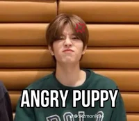 Kim Seungmin-brother