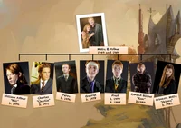 Weasley family