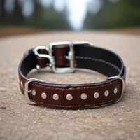 Dog tf collar