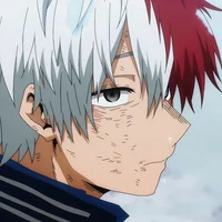 Shoto Todoroki 
