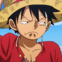 Monkey D Luffy 