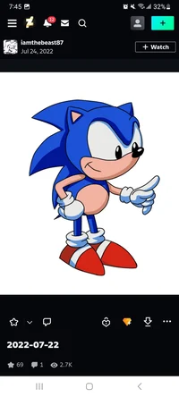 Sonic the hedgehog