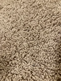Carpet Creature 