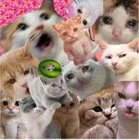 004 - Discord server