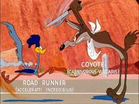 Coyote_Road Runner