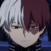 Shoto Todoroki