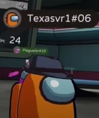 Texasvr1