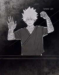 Bakugou katsuki 