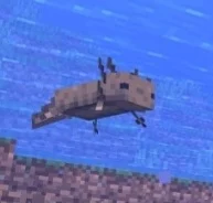 Minecraft Axolotl