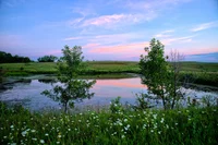 The Pairie - Grakey8