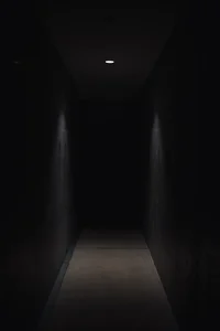 Operation bloodhouse