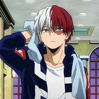 Shoto Todoroki 