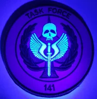 Task Force 141