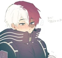 Shoto Todoroki