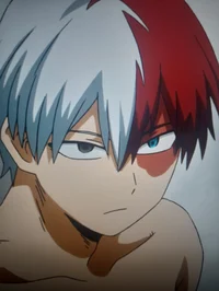 Mha Shoto Todoroki