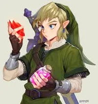 Skyward Link