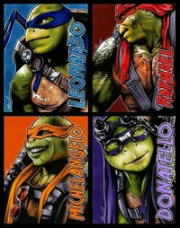 TMNT bayverse