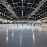 Figure skating