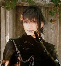 Noctis Lucis Caelum 
