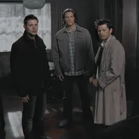 Team Free Will 