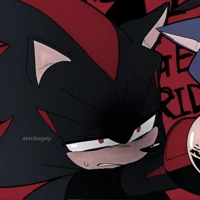 Shadow The Hedgehog