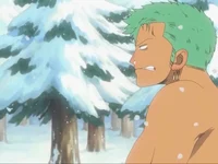 Roronoa Zoro