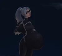 Pregnant Black Cat 